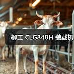 柳工 CLG848H 装载机(图3) 柳工 CLG848H 装载机(图3)