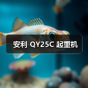 安利 QY25C 起重机(图4) 安利 QY25C 起重机(图4)