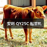 安利 QY25C 起重机(图2) 安利 QY25C 起重机(图2)