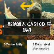 戴纳派克 CA510D 压路机(图4) 戴纳派克 CA510D 压路机(图4)