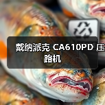 戴纳派克 CA610PD 压路机(图3) 戴纳派克 CA610PD 压路机(图3)