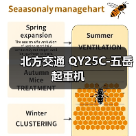 北方交通 QY25C-五岳 起重机（图4）