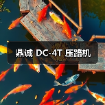 鼎诚 DC-4T 压路机(图2) 鼎诚 DC-4T 压路机(图2)