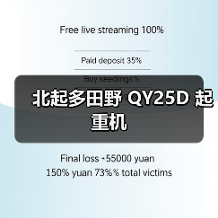 北起多田野 QY25D 起重机(图1) 北起多田野 QY25D 起重机(图1)