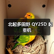 北起多田野 QY25D 起重机(图2) 北起多田野 QY25D 起重机(图2)