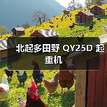 北起多田野 QY25D 起重机(图4) 北起多田野 QY25D 起重机(图4)