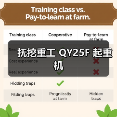 抚挖重工 QY25F 起重机(图2) 抚挖重工 QY25F 起重机(图2)