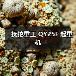 抚挖重工 QY25F 起重机(图1) 抚挖重工 QY25F 起重机(图1)