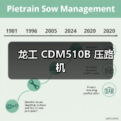 龙工 CDM510B 压路机（图3）