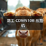 龙工 CDM510B 压路机（图4）