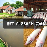 柳工 CLG862H 装载机(图2) 柳工 CLG862H 装载机(图2)