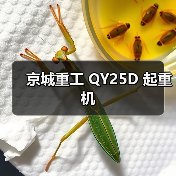 京城重工 QY25D 起重机(图1) 京城重工 QY25D 起重机(图1)