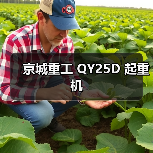 京城重工 QY25D 起重机(图3) 京城重工 QY25D 起重机(图3)