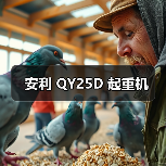 安利 QY25D 起重机（图4）