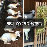 安利 QY25D 起重机（图1）