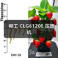 柳工 CLG6120E 压路机（图2）