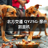 北方交通 QY25G-豪岳 起重机（图4）