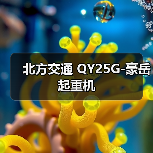 北方交通 QY25G-豪岳 起重机（图2）