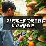 25吨起重机高安全性多功能灵活操控（图2）