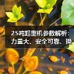 25吨起重机参数解析:力量大、安全可靠、操作便捷(图4) 25吨起重机参数解析:力量大、安全可靠、操作便捷(图4)
