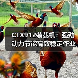 CTX912装载机：强劲动力节能高效稳定作业首选（图4）