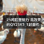 25吨起重能力 高效灵活的QY25K5_1起重机(图2) 25吨起重能力 高效灵活的QY25K5_1起重机(图2)