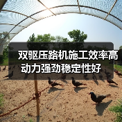 双驱压路机施工效率高 动力强劲稳定性好(图1) 双驱压路机施工效率高 动力强劲稳定性好(图1)