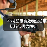 25吨起重高效稳定起重机核心优势解析(图1) 25吨起重高效稳定起重机核心优势解析(图1)