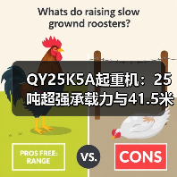 QY25K5A起重机:25吨超强承载力与41.5米高空作业能力(图3) QY25K5A起重机:25吨超强承载力与41.5米高空作业能力(图3)