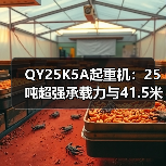 QY25K5A起重机:25吨超强承载力与41.5米高空作业能力(图4) QY25K5A起重机:25吨超强承载力与41.5米高空作业能力(图4)