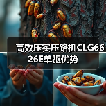 高效压实压路机CLG6626E单驱优势（图1）