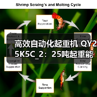 高效自动化起重机 QY25K5C_2:25吨起重能力强 灵活安全可靠(图3) 高效自动化起重机 QY25K5C_2:25吨起重能力强 灵活安全可靠(图3)