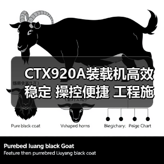 CTX920A装载机高效稳定 操控便捷 工程施工优选(图1) CTX920A装载机高效稳定 操控便捷 工程施工优选(图1)