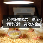 25吨起重能力,高度可调臂设计,高效安全起重机(图4) 25吨起重能力,高度可调臂设计,高效安全起重机(图4)