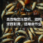 高效稳定压路机，结构坚固耐用，低噪音作业首选（图3）