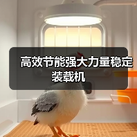 高效节能强大力量稳定装载机（图4）