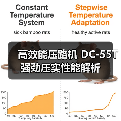 高效能压路机 DC-55T 强劲压实性能解析（图3）