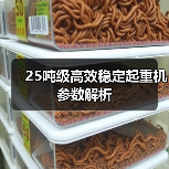 25吨级高效稳定起重机参数解析(图2) 25吨级高效稳定起重机参数解析(图2)