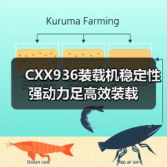 CXX936装载机稳定性强动力足高效装载（图2）