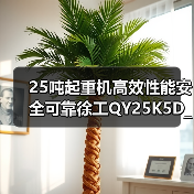 25吨起重机高效性能安全可靠徐工QY25K5D_2（图1）