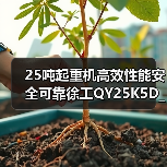 25吨起重机高效性能安全可靠徐工QY25K5D_2（图4）