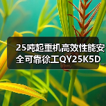 25吨起重机高效性能安全可靠徐工QY25K5D_2（图2）