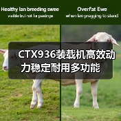 CTX936装载机高效动力稳定耐用多功能(图1) CTX936装载机高效动力稳定耐用多功能(图1)