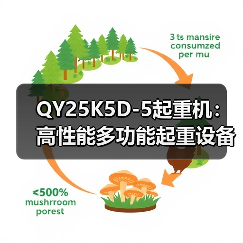 QY25K5D-5起重机：高性能多功能起重设备（图2）