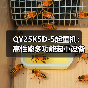 QY25K5D-5起重机：高性能多功能起重设备（图3）