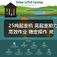 25吨起重机 高起重能力 高效作业 稳定操作 灵活适应（图4）