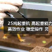 25吨起重机 高起重能力 高效作业 稳定操作 灵活适应（图3）