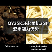 QY25K5F起重机25吨起重能力优势（图4）