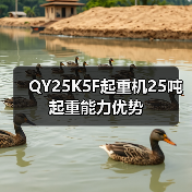 QY25K5F起重机25吨起重能力优势（图2）