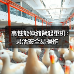 高性能伸缩臂起重机：灵活安全易操作（图1）